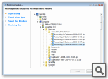 Restoring Backups